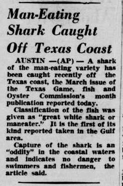 The “Maneater” Caught off TX Coast In 1950
