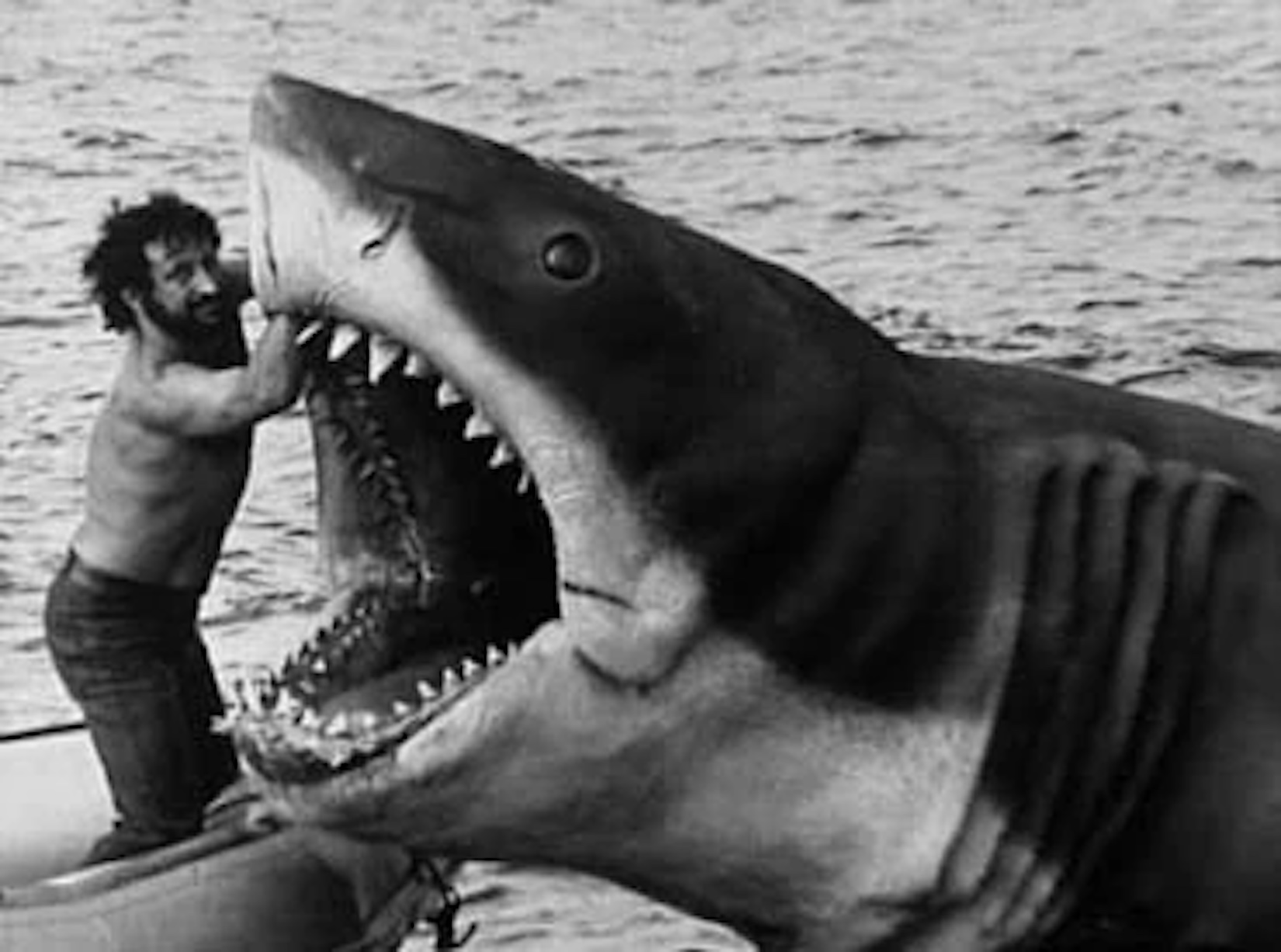 Jaws! Is Bruce the The Shark The Ultimate Horror Icon?