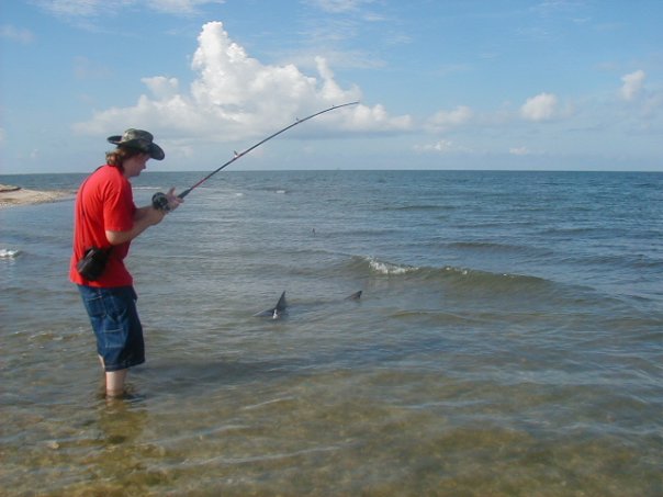 When The Released Bull Shark Comes Back At You!