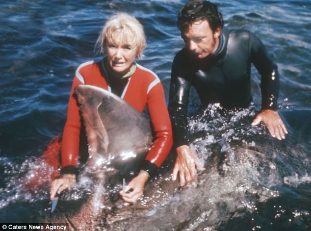 The Secret Behind Jaws: The Couple Who Made It Real