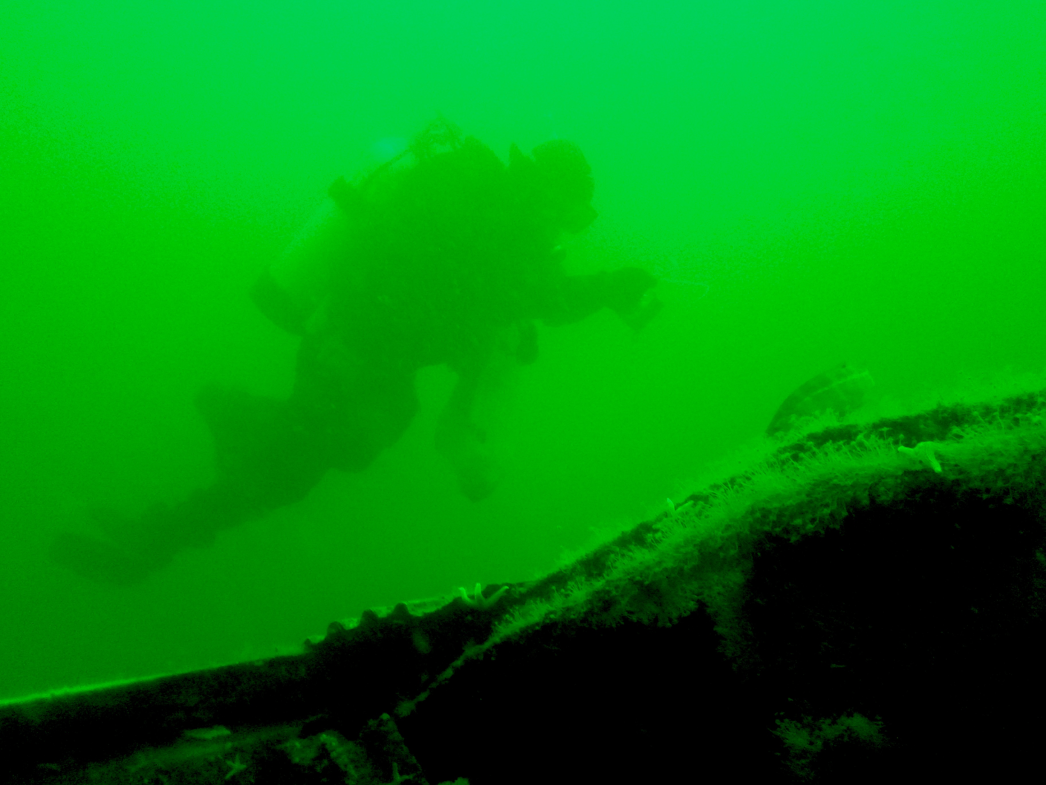 The World Overlooks the Gulf -That Needs to Change