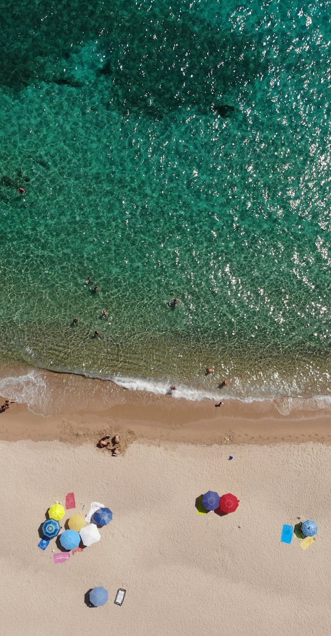 Are There Sharks on Texas Beaches? What You Need to Know