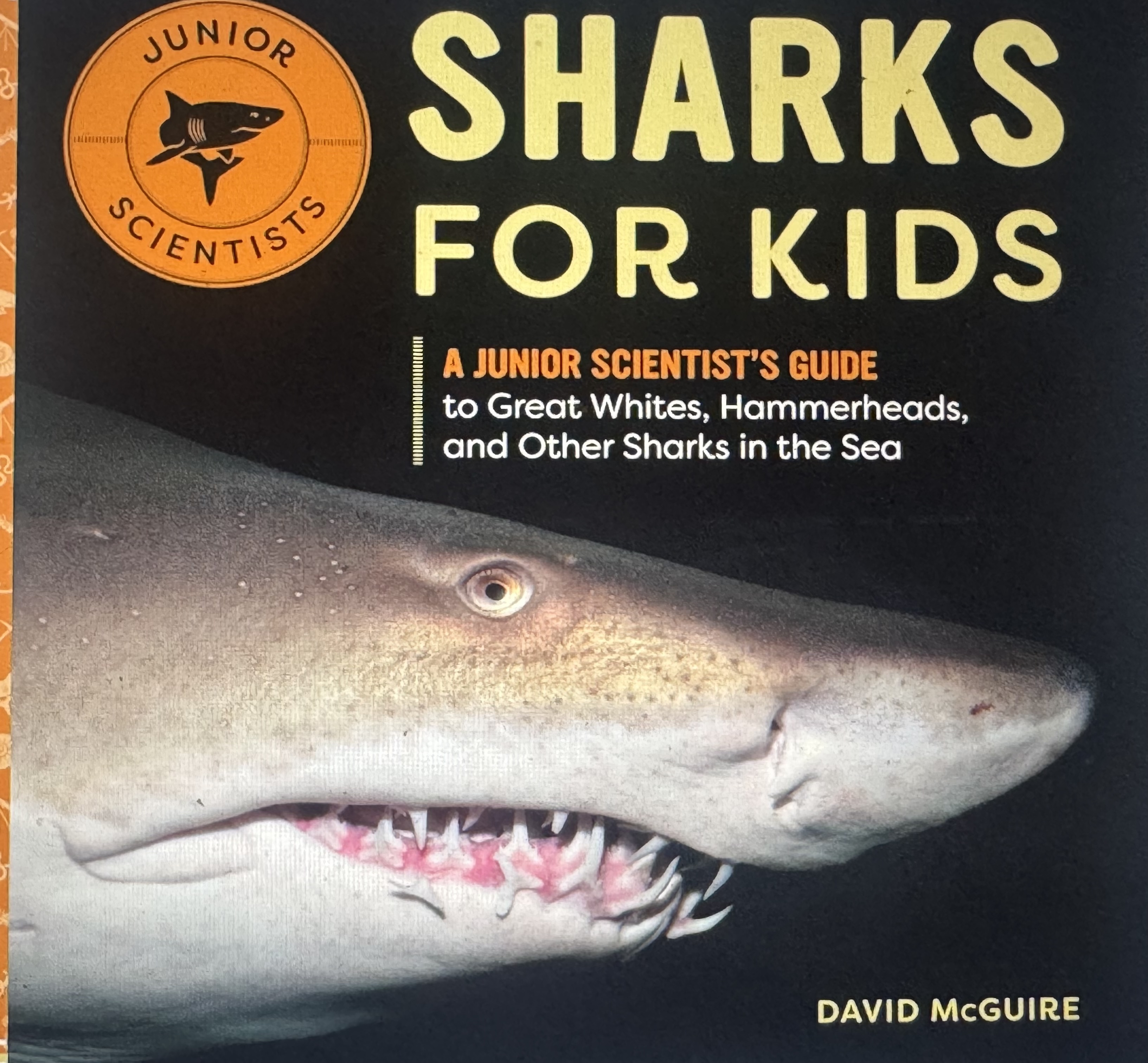 Want to Make a Young Shark Lover’s Day?
