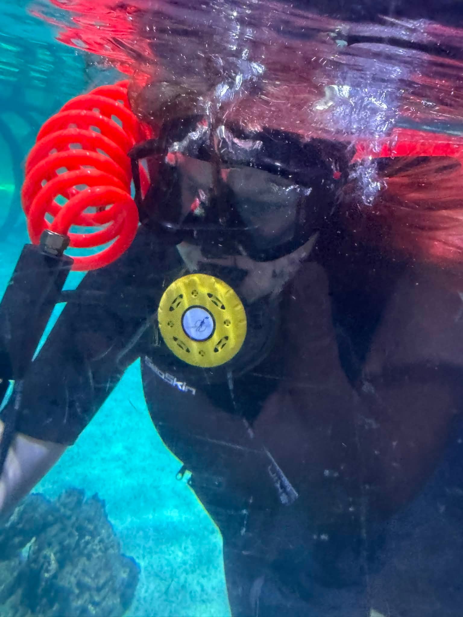Wild Wishes Shark Encounter Brings Hope Through Wildlife