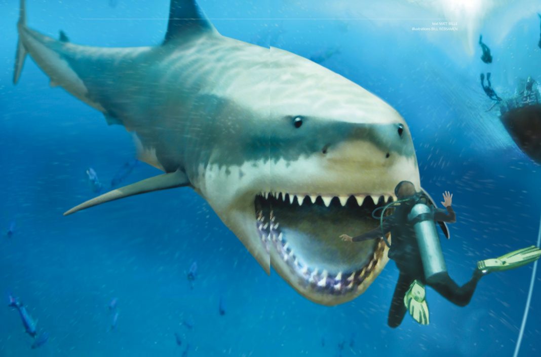 Could The Megalodon Still Be Alive?