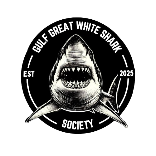 Gulf Great White Shark Society Surpasses 1,000 Members as Shark Week Begins