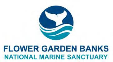 Great White Shark Research at Flower Garden Banks: A Conversation With Dr. Greg Skomal